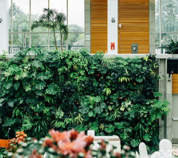 Colorful flowers bloom beside a green garden wall in front of a cozy house.