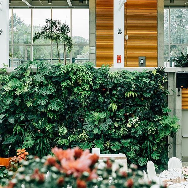 Colorful flowers bloom beside a green garden wall in front of a cozy house.