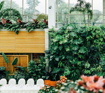 A lush garden with vibrant plants and flowers around a white picket fence.