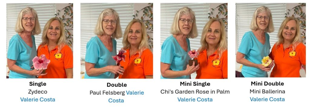 Two women in orange shirts, one labeled 'Double' and the other 'Mini Single'.