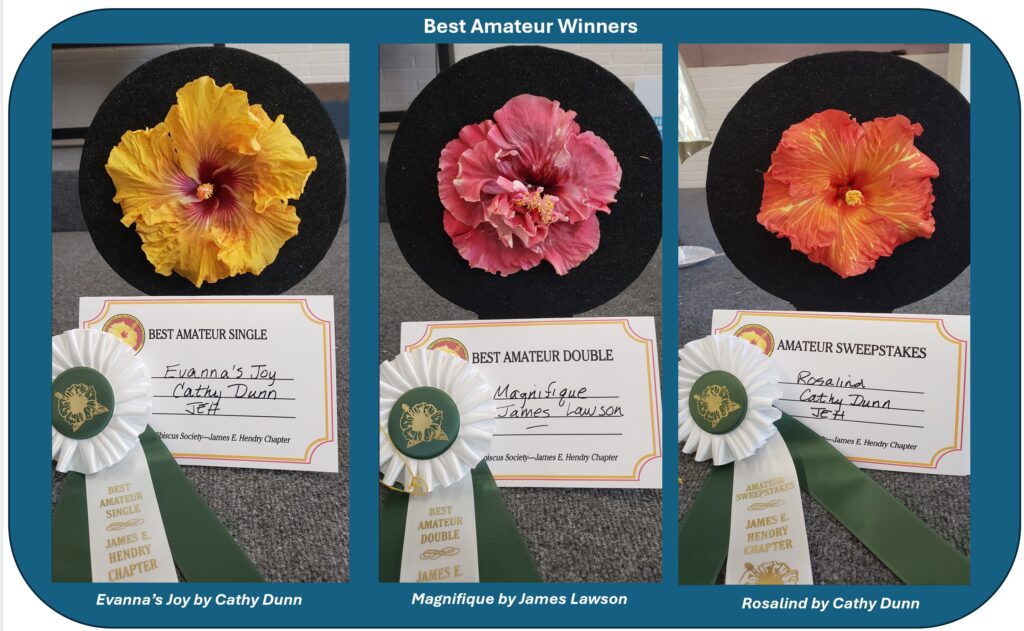 Display of three flower varieties with detailed labels in a garden.