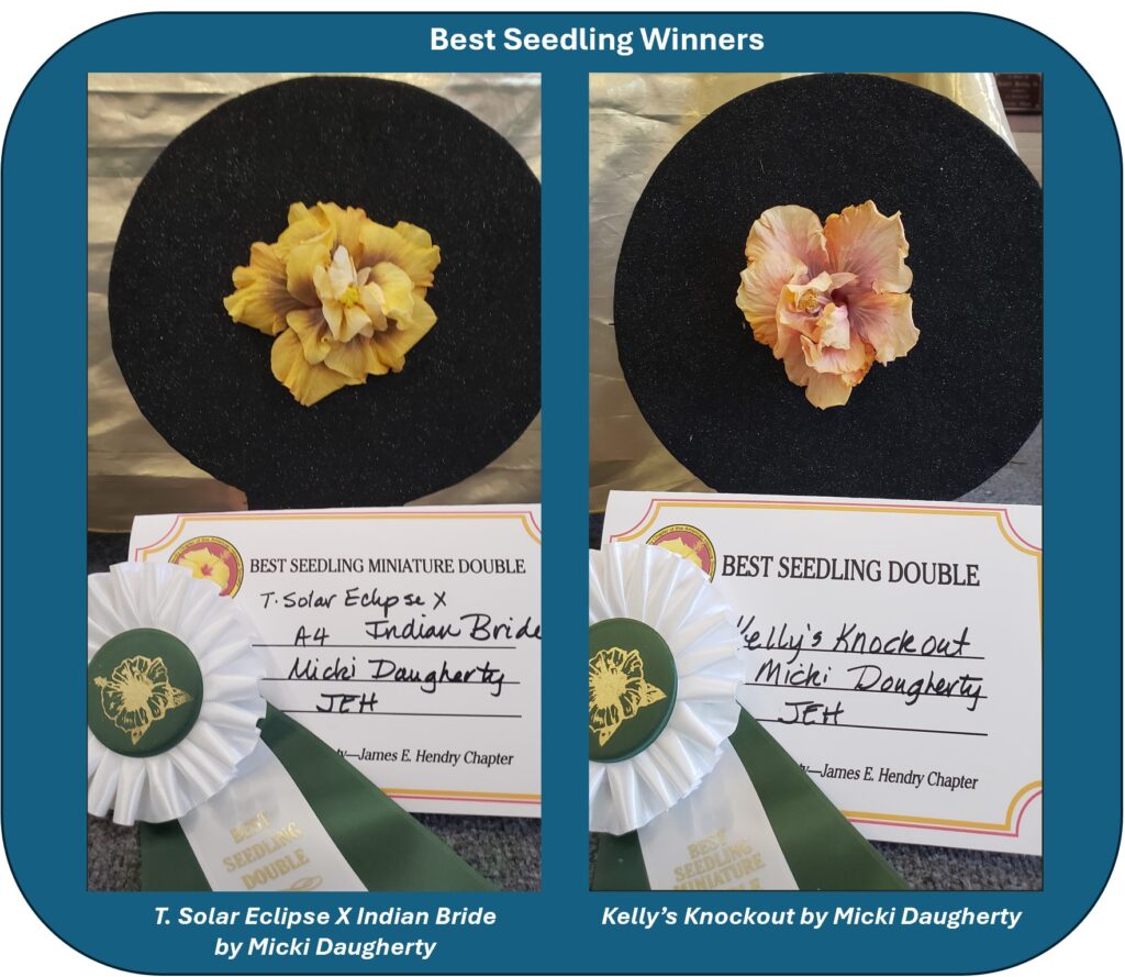 Two plates of food with handwritten recipe cards beside them.