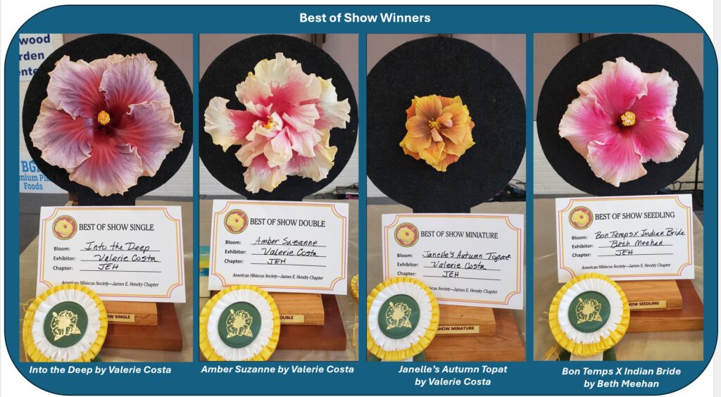 Three types of hibiscus flowers with descriptions and icons.